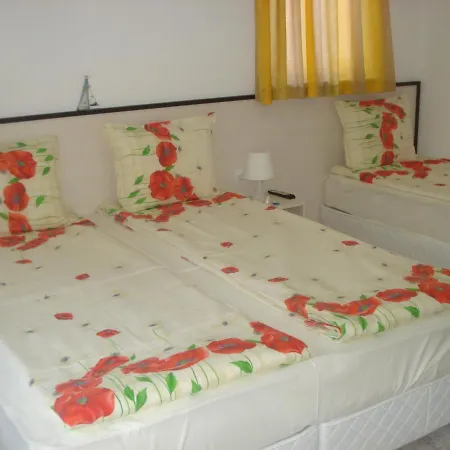 Guest house Kupenova 3*