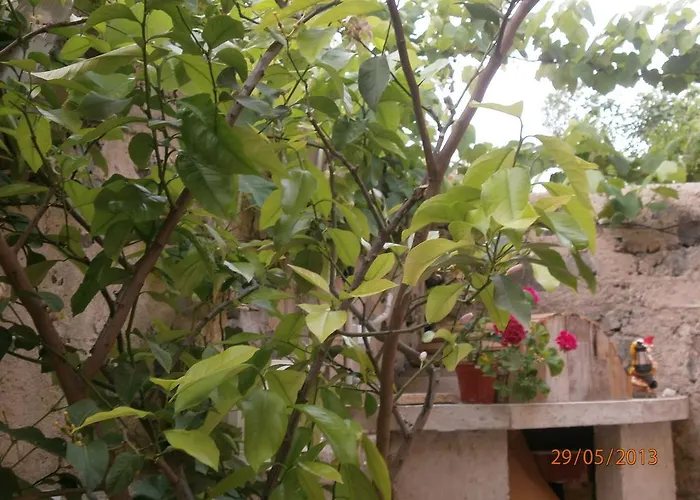 게스트하우스 Kupenova 소조폴