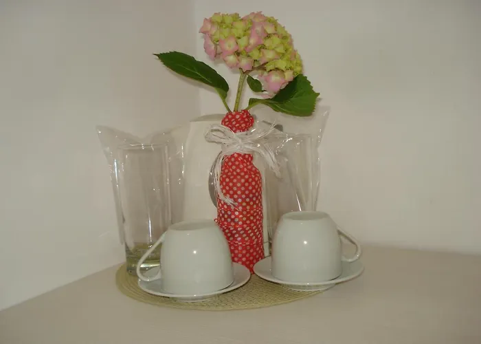 Kupenova 3* 소조폴